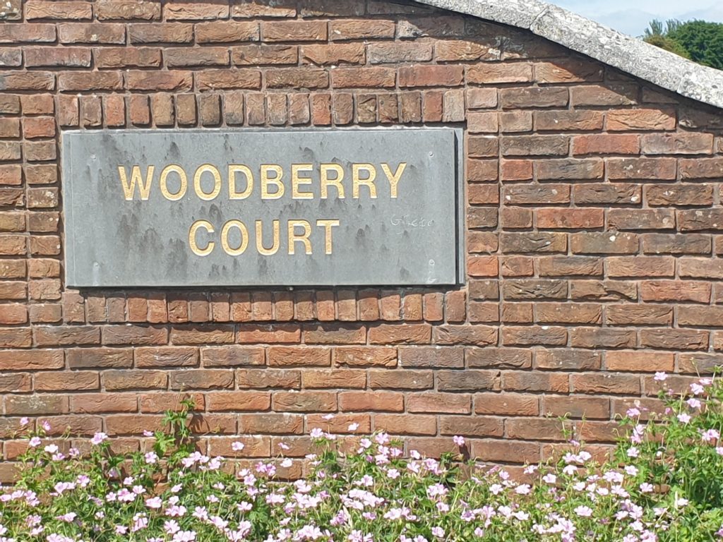 Site with FPP Woodberry Court Roscommon Town