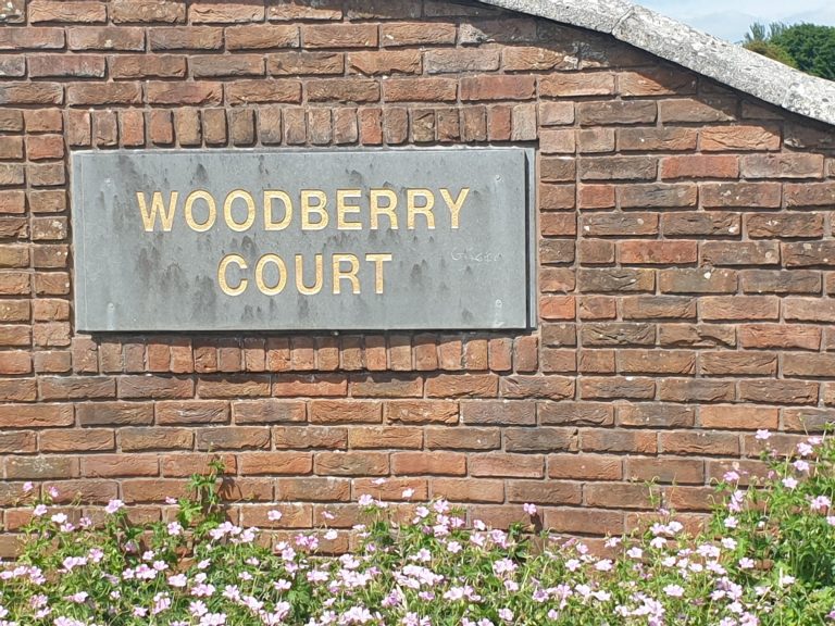 Site with FPP Woodberry Court Roscommon Town