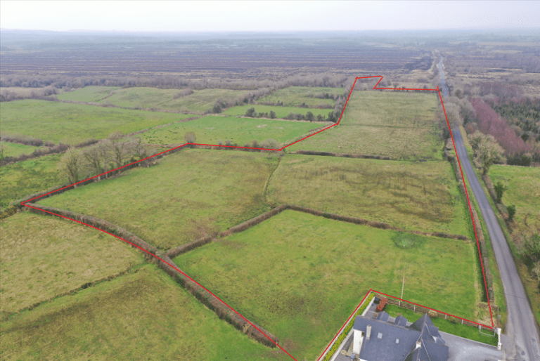 c. 9 acres Agricultural Land Granaghan Dillon Curraghroe Co. Roscommon