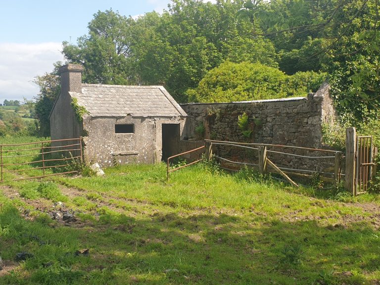 Killeenvoy, Lecarrow, Co. Roscommon