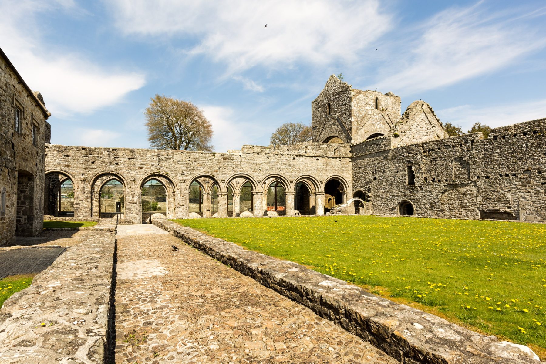 Boyle Abbey, the Cistercian abbey in Boyle, Co. Roscommon